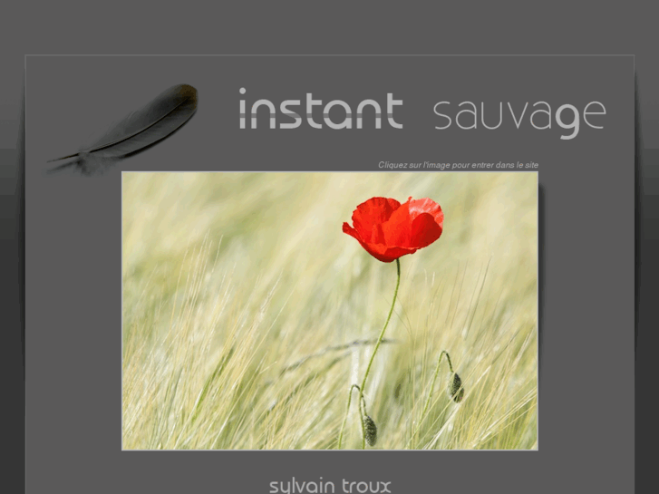 www.instant-sauvage.com