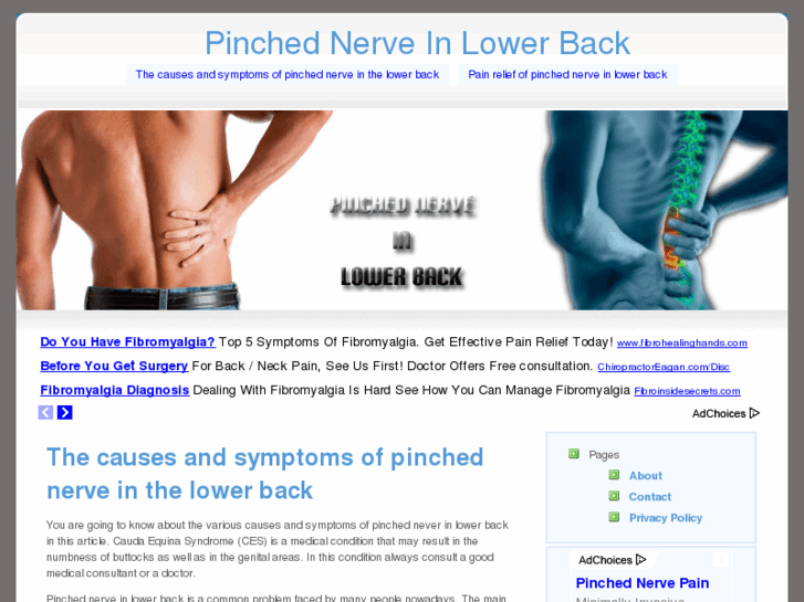 www.pinchednerveinlowerback.com