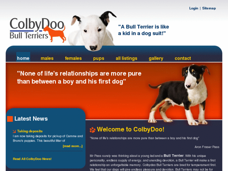 www.colbydoobullterriers.com