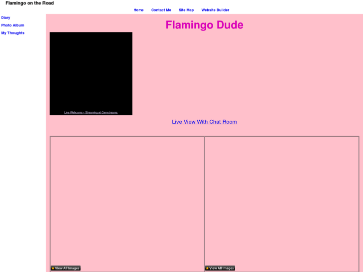 www.flamingodude.com