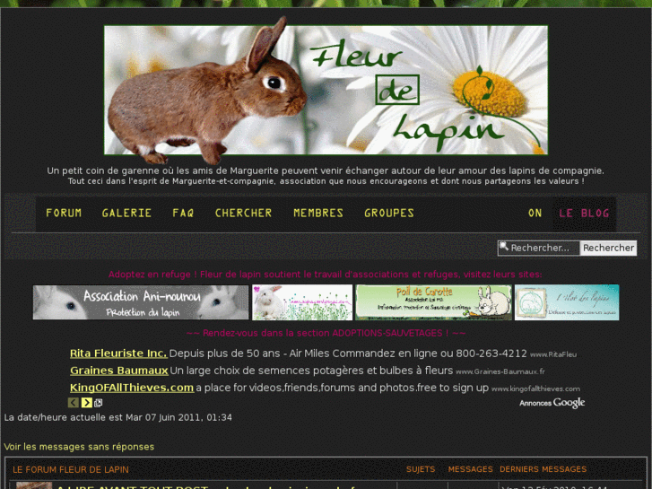 www.fleur-de-lapin.com