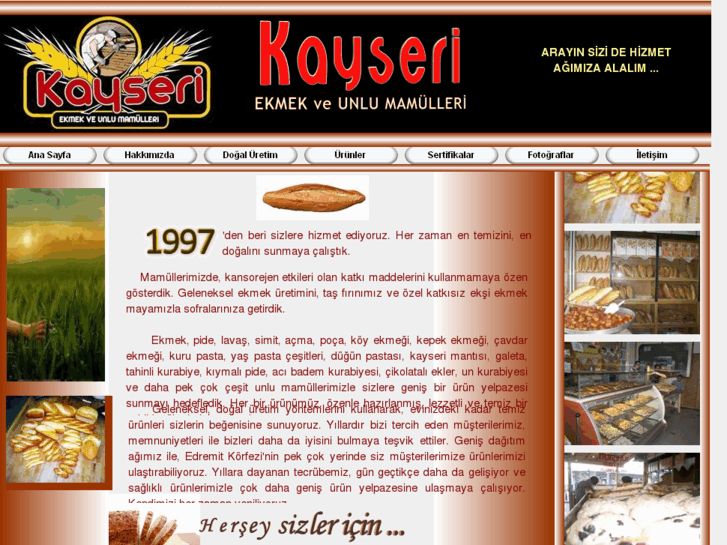 www.kayseritasfirin.com