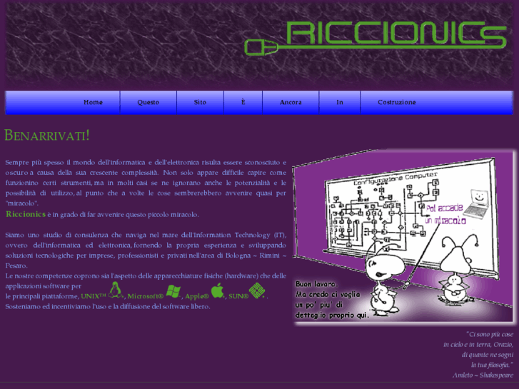 www.riccionics.com