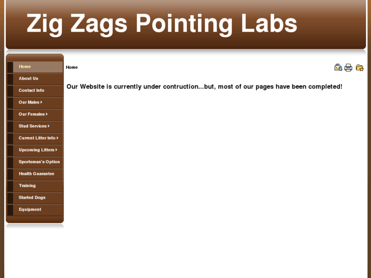 www.zigzagpointinglabs.com