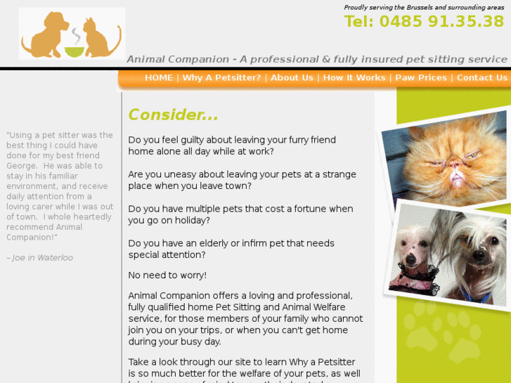 www.animalcompanion.eu