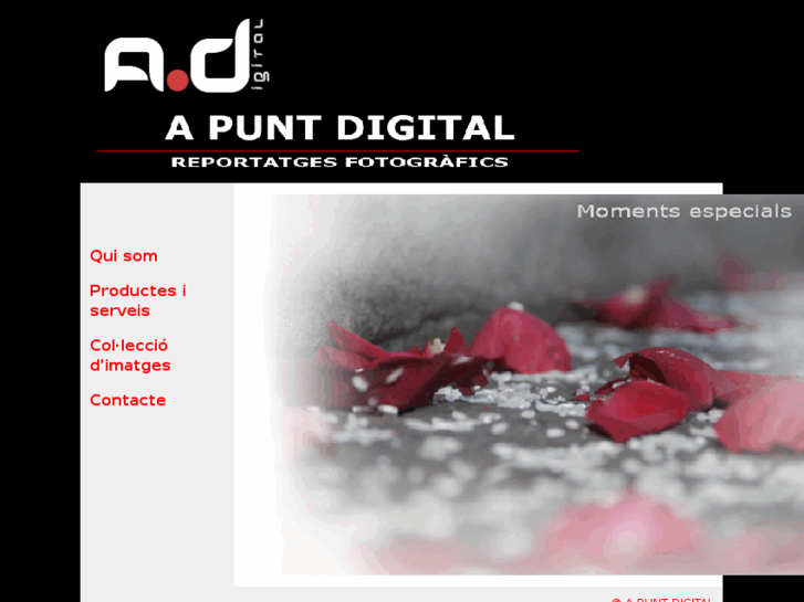 www.apuntdigital.com