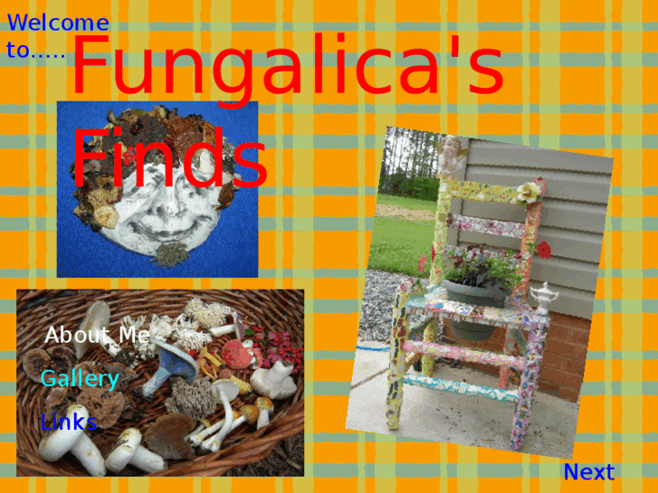 www.fungalicasfinds.com