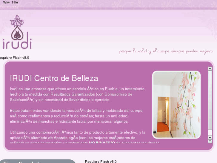 www.irudicentrodebelleza.com