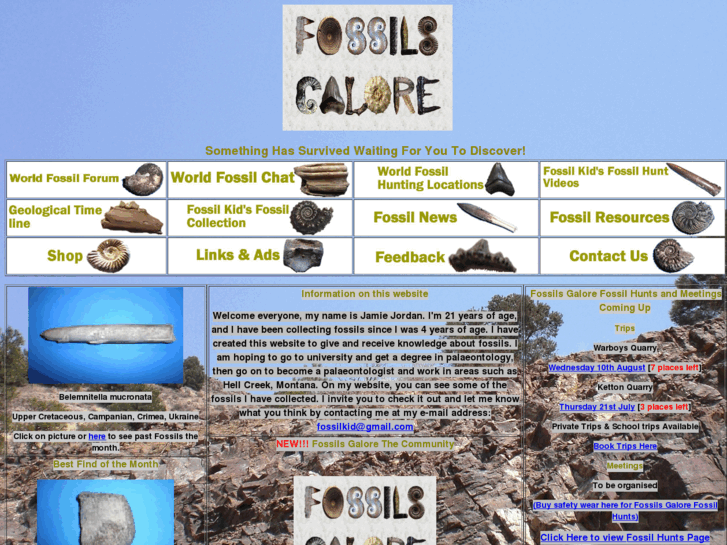 www.fossilsgalore.com
