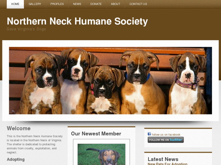 www.northernneckhumanesociety.org