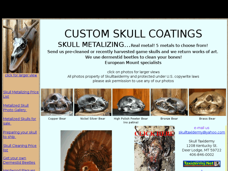 www.skullmetallizing.com