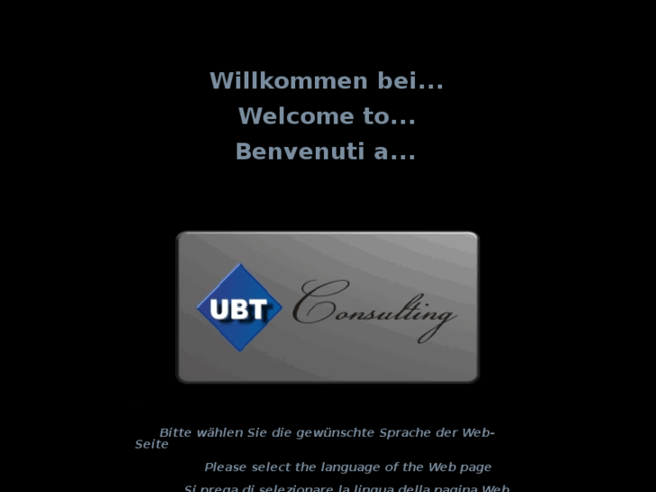 www.ubt-consulting.com