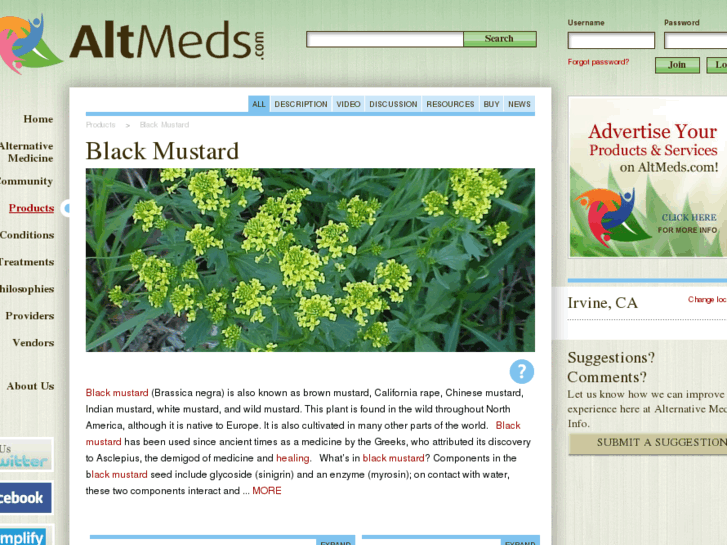 www.black-mustard.com