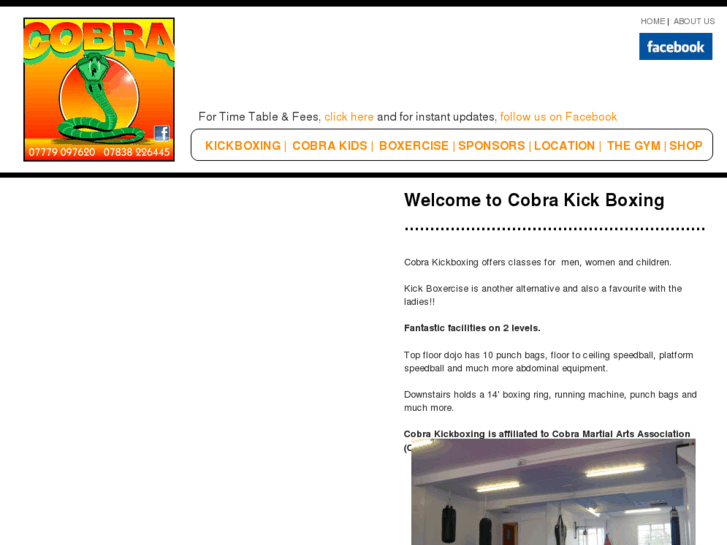 www.cobrakickboxing.com