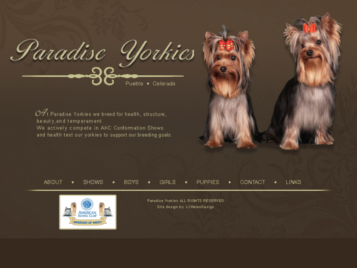 www.paradiseyorkies.com