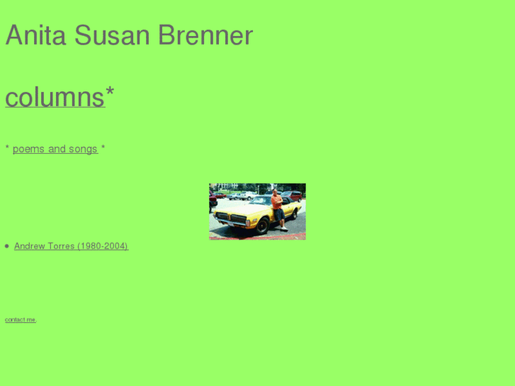 www.anitabrenner.com