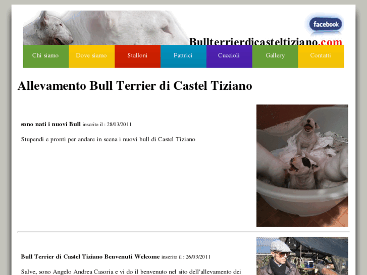 www.bullterrierdicasteltiziano.com