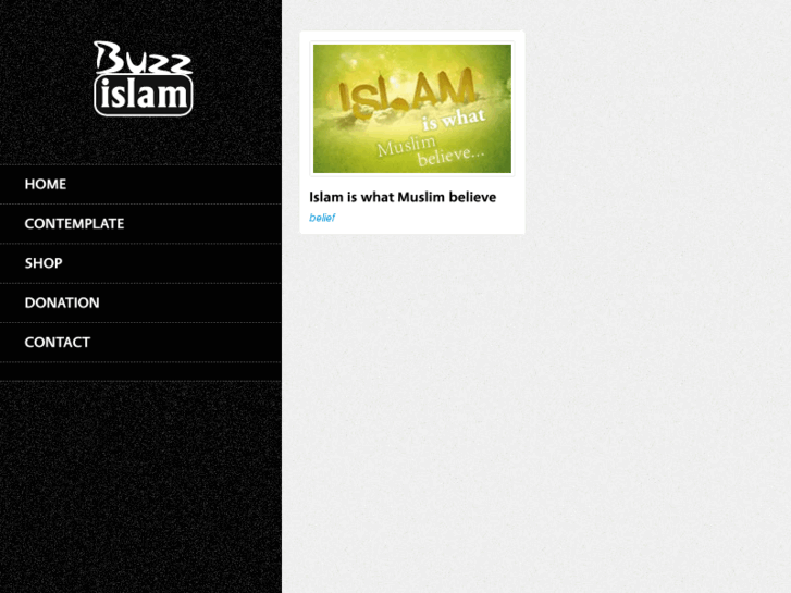 www.buzzislam.com