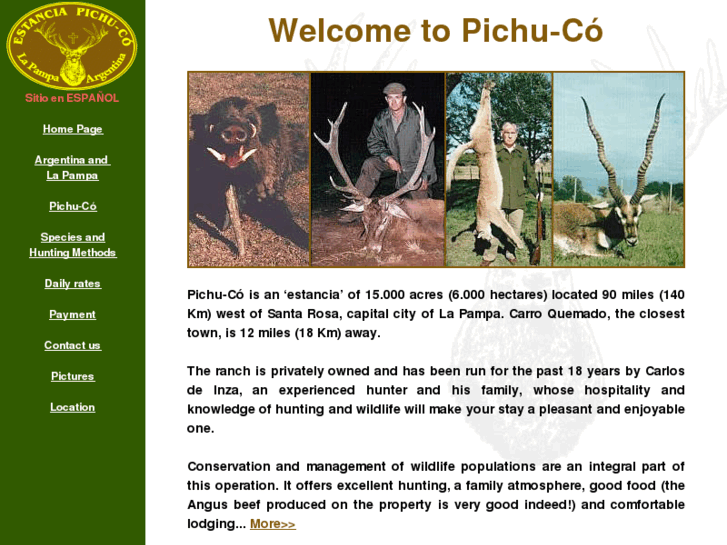 www.pichu-co.com.ar