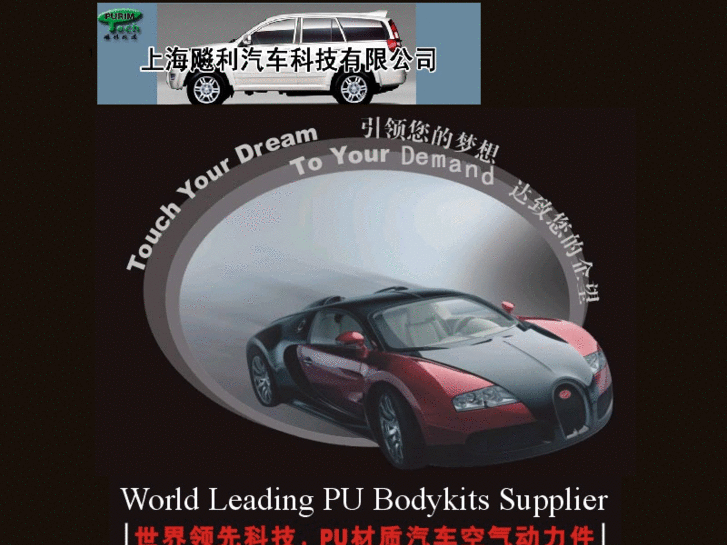 www.pubodykit.com