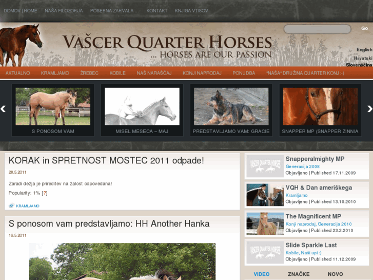 www.vascerquarterhorses.com