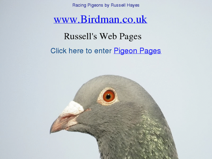 www.birdman.co.uk