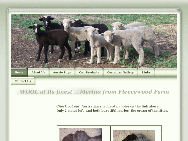 www.fleecewoodfarm.com