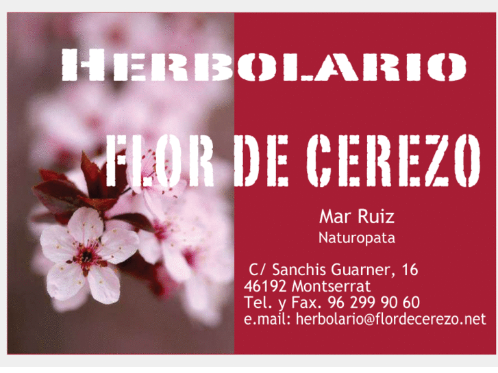 www.flordecerezo.net