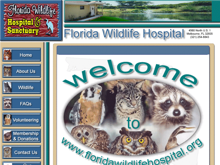 www.floridawildlifehospital.org