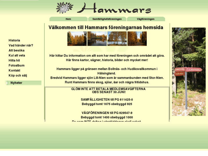 www.hammars.info