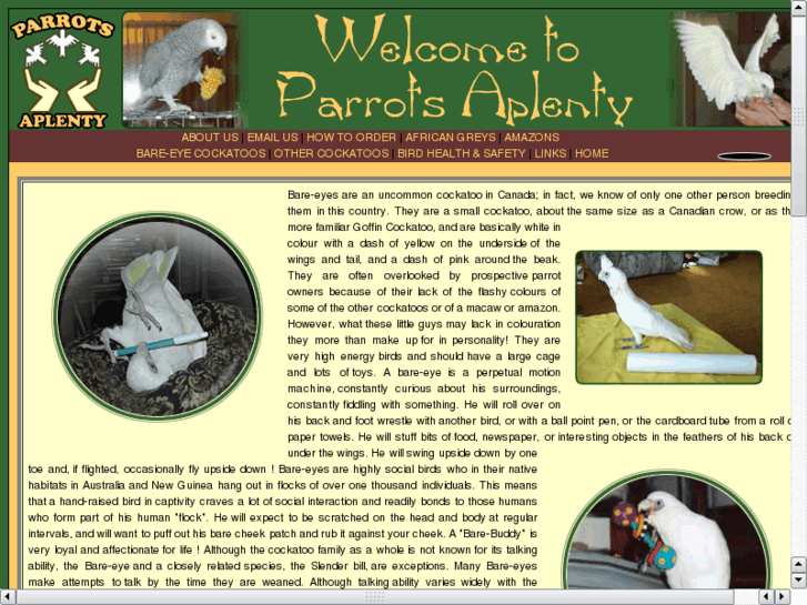 www.parrotsaplenty.com