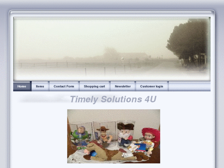 www.timelysolutions4u.com