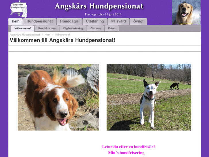 www.angskarshundpensionat.se