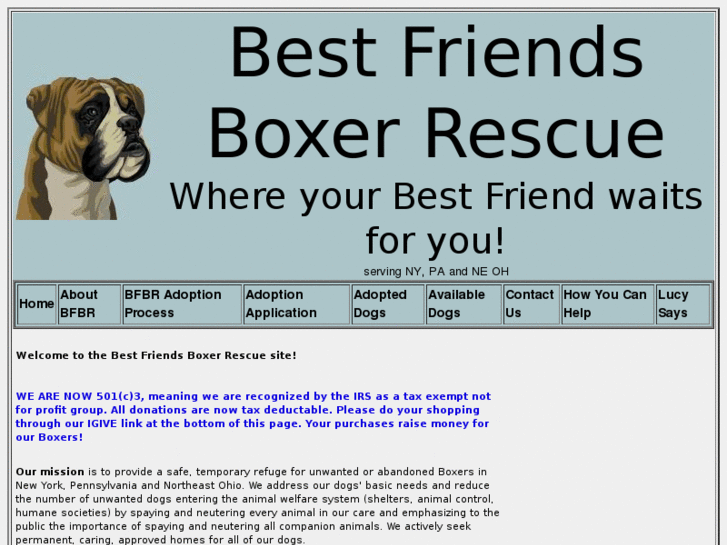 www.bestfriendsboxerrescue.com