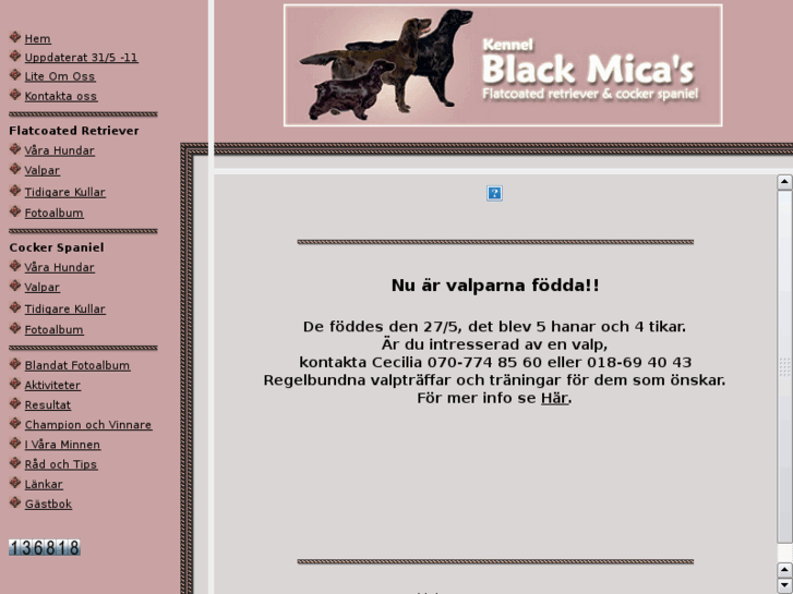 www.blackmicas.se