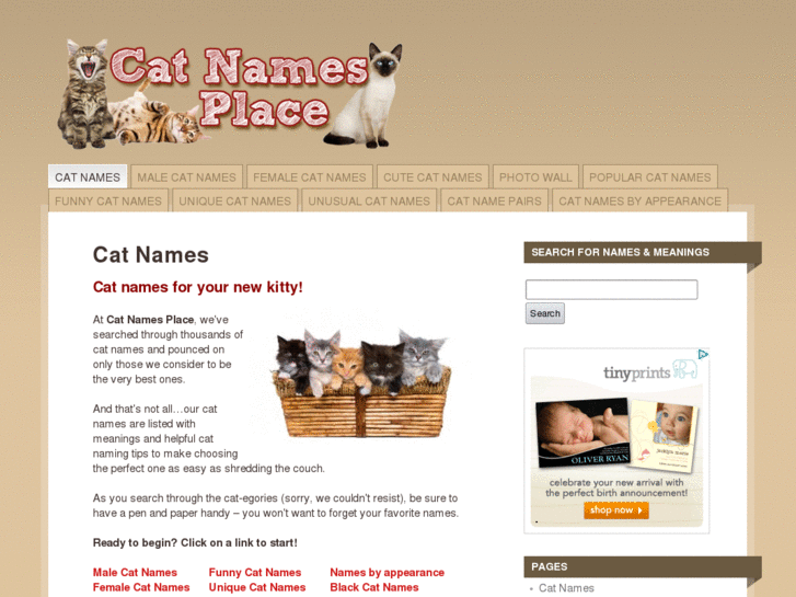 www.catnamesplace.com