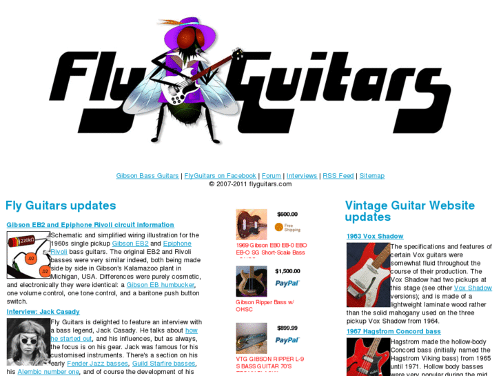 www.flyguitars.com