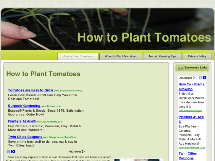 www.howtoplanttomatoes.com