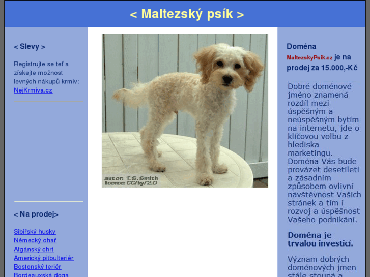 www.maltezskypsik.cz