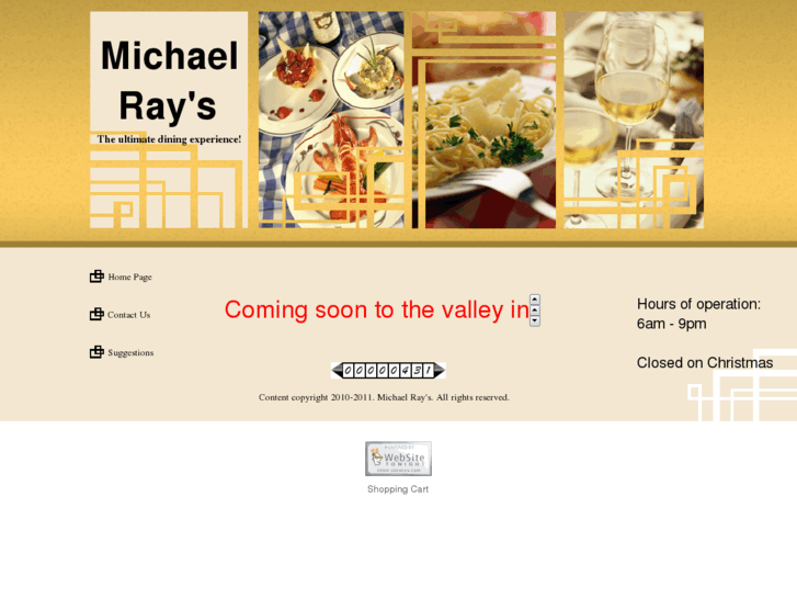 www.michaelrays.com