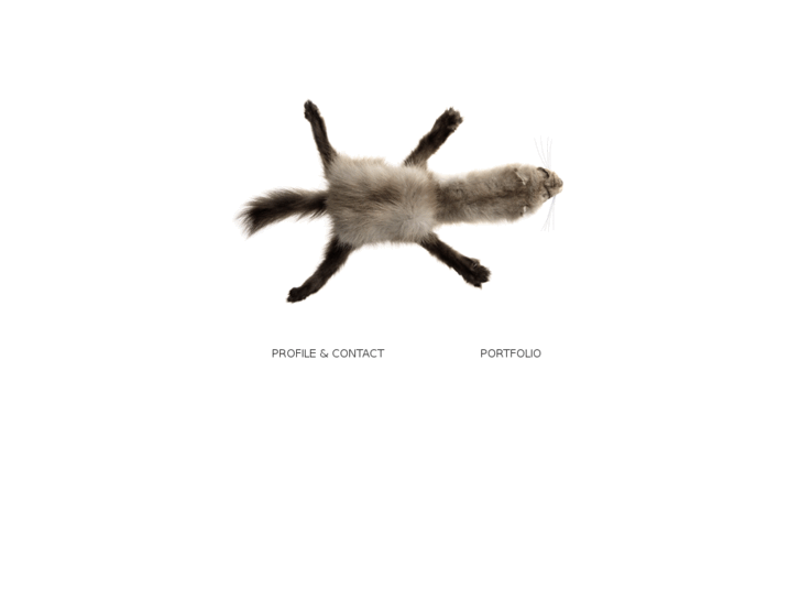 www.piotrlipecki.com