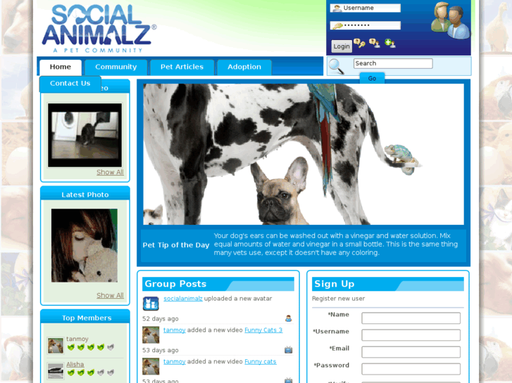 www.socialanimalz.com