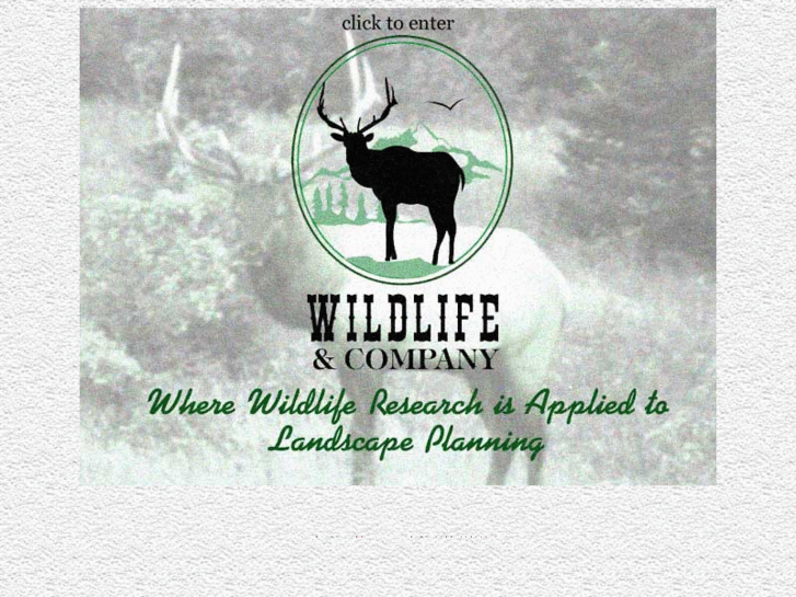 www.wildlifeandcompany.com