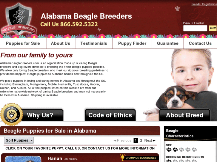 www.alabamabeaglebreeders.com