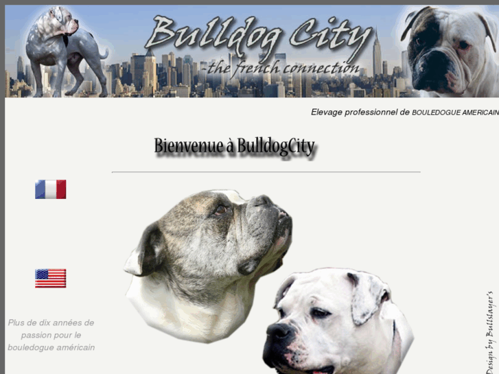 www.bulldogcity.com