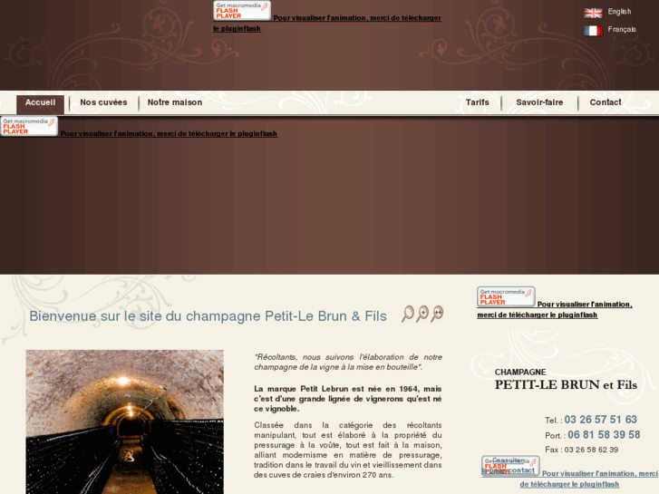 www.champagnepetitlebrunetfils.com