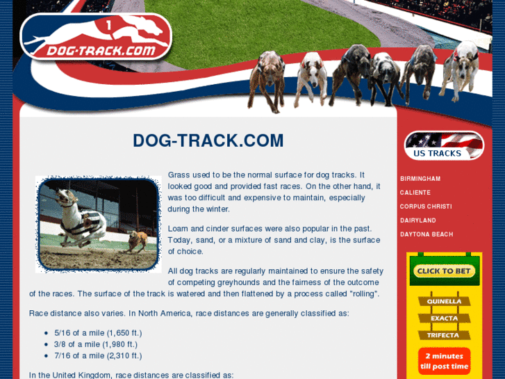 www.dog-track.com