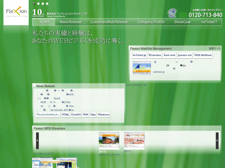 www.flexion.asia