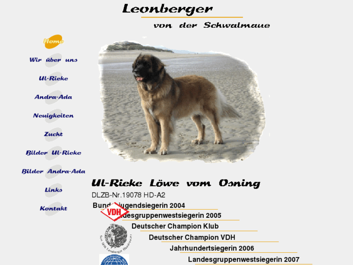 www.leonberger-schwalmaue.de