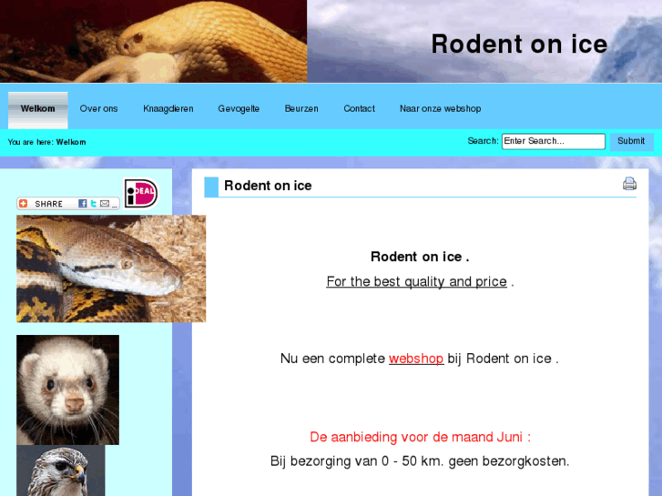 www.rodentonice.com